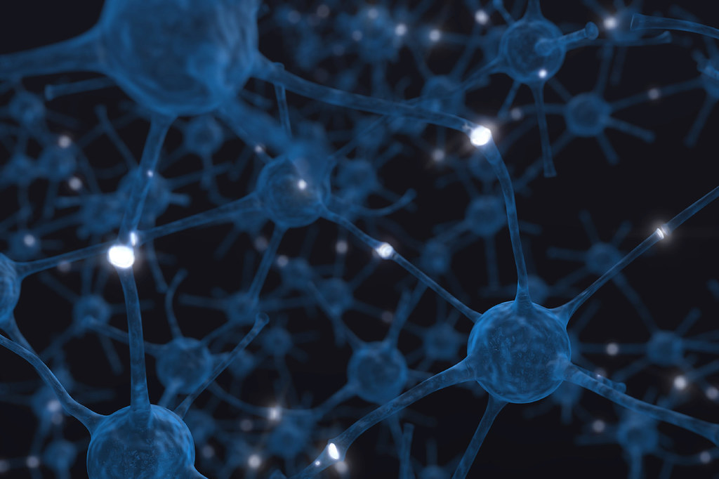 Photograph of neurons - CC BY-NC-SA 2.0 by Birth Into Being via Flickr.