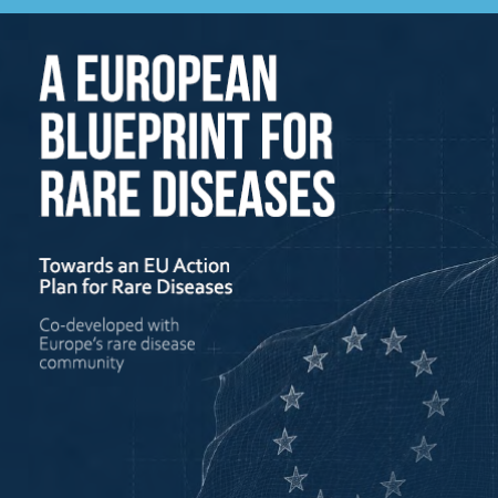 A European Blueprint for Rare Diseases