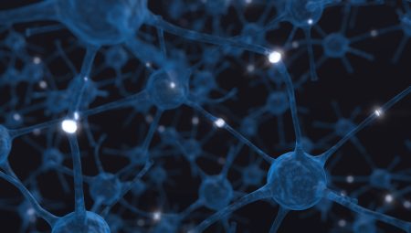 Photograph of neurons - CC BY-NC-SA 2.0 by Birth Into Being via Flickr.